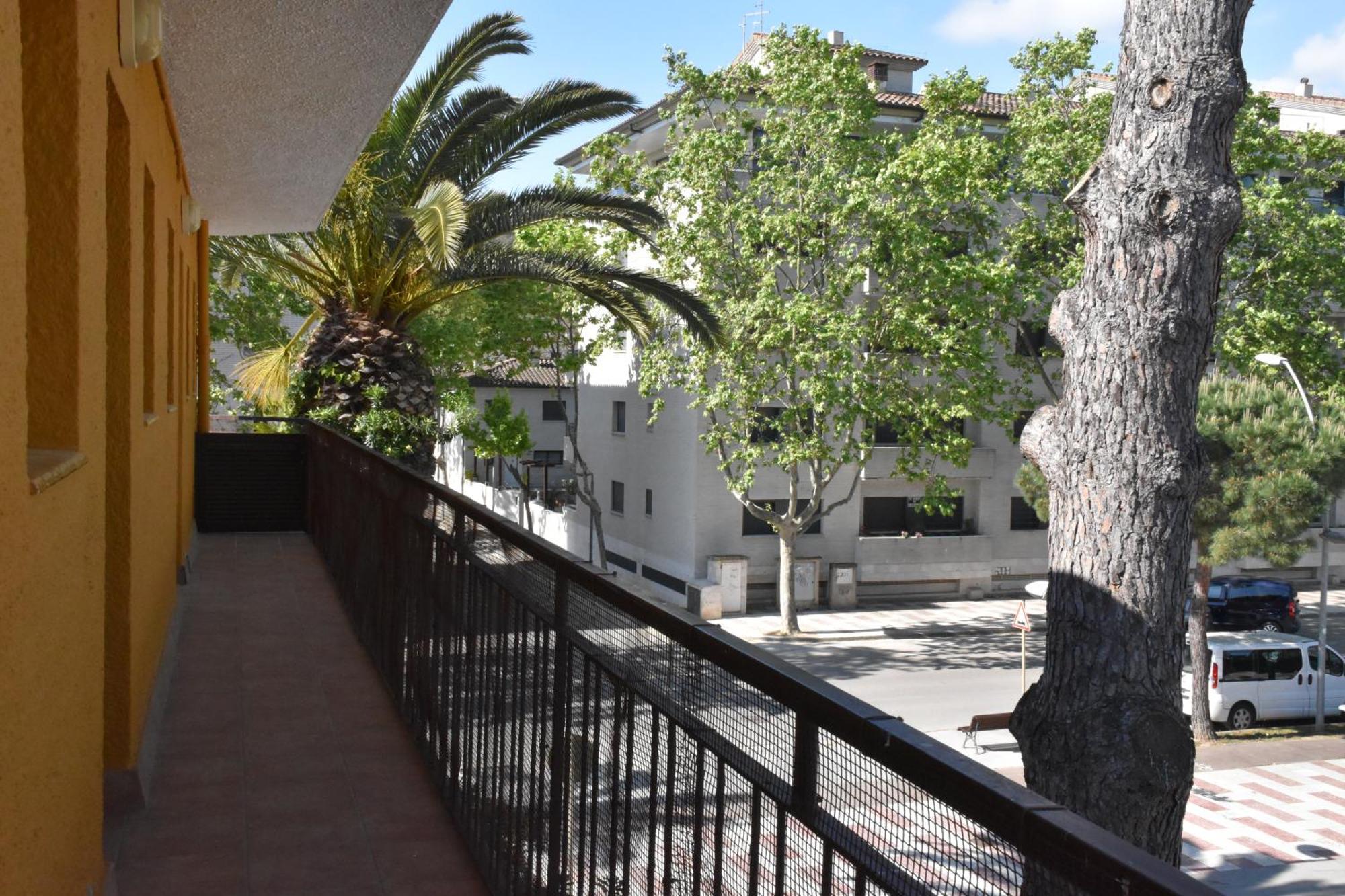 Apartamentos Les Palmeres Platja d'Aro Eksteriør billede