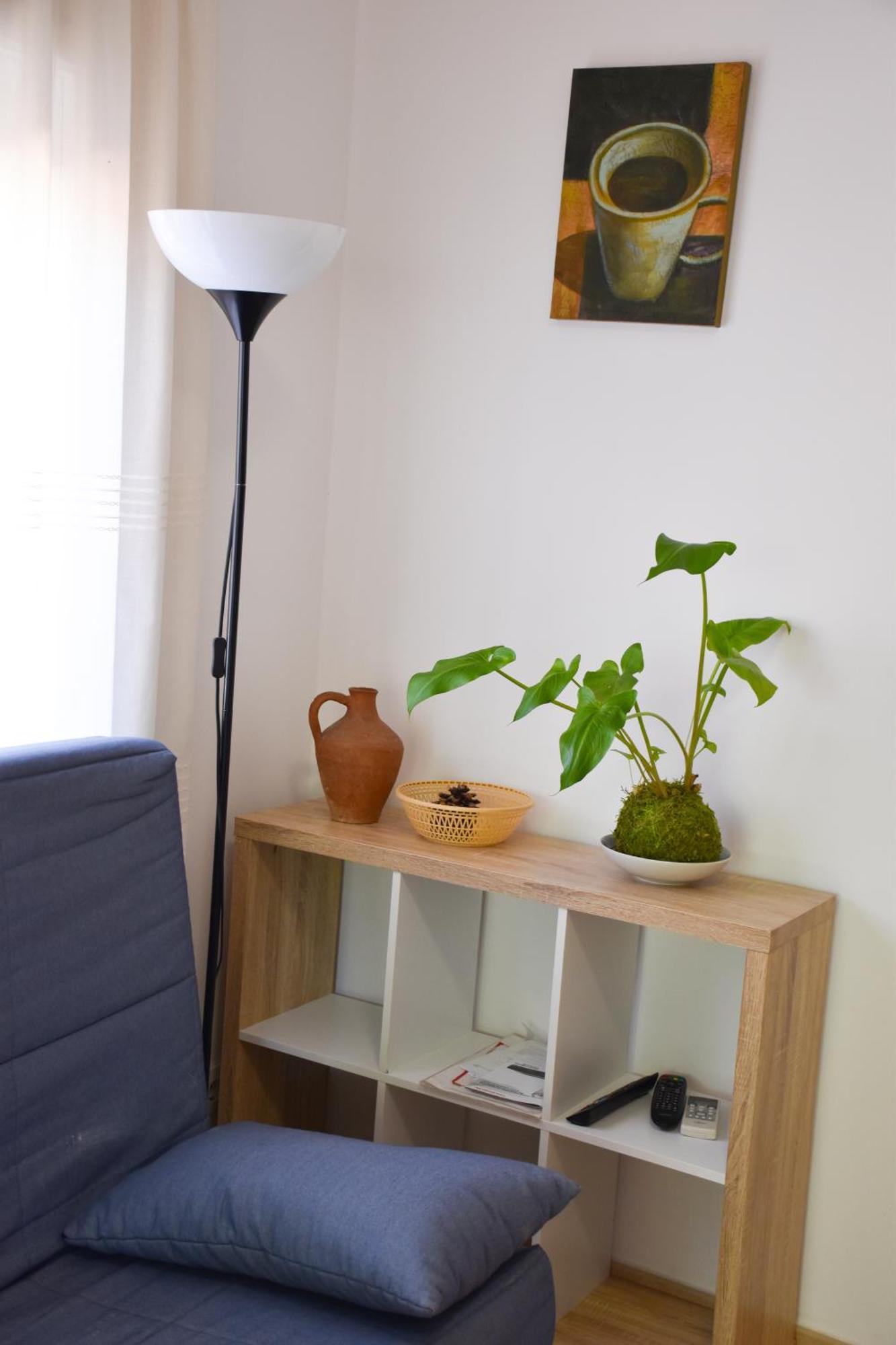 Apartamentos Les Palmeres Platja d'Aro Eksteriør billede