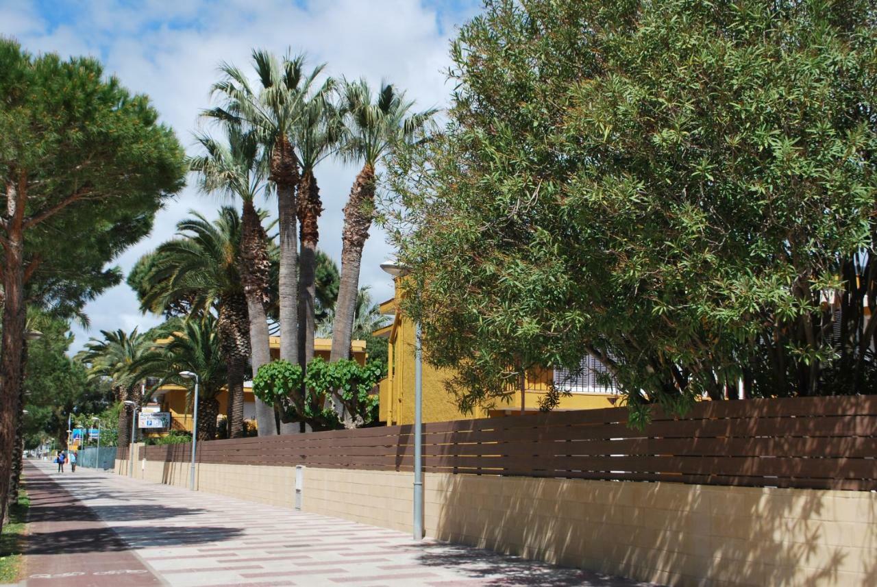 Apartamentos Les Palmeres Platja d'Aro Eksteriør billede